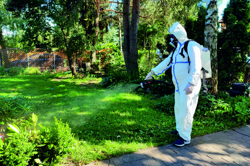 usługi ddd Warszawa i okolice, Deratyzacja, Dezynfekcja, Dezynsekcja, Prace ogrodnicze