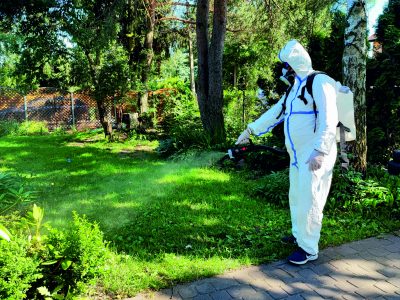 usługi ddd Warszawa i okolice, Deratyzacja, Dezynfekcja, Dezynsekcja, Prace ogrodnicze